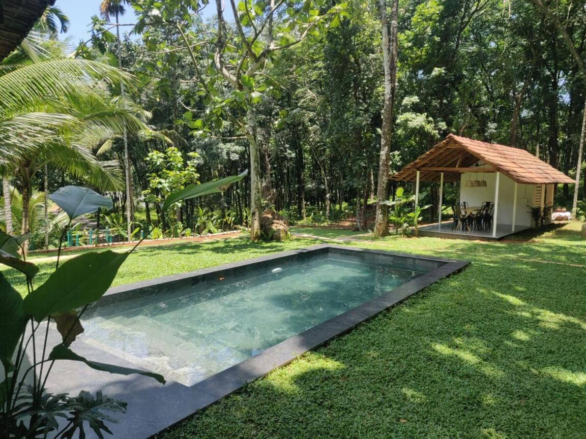 Lālam Pool Villa - The Humming Trees, Pala מראה חיצוני תמונה